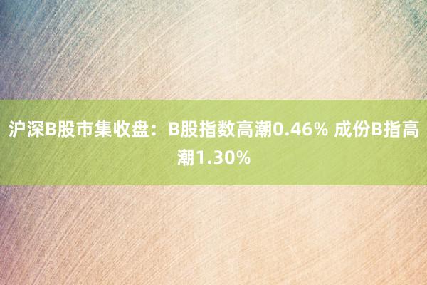 沪深B股市集收盘：B股指数高潮0.46% 成份B指高潮1.3